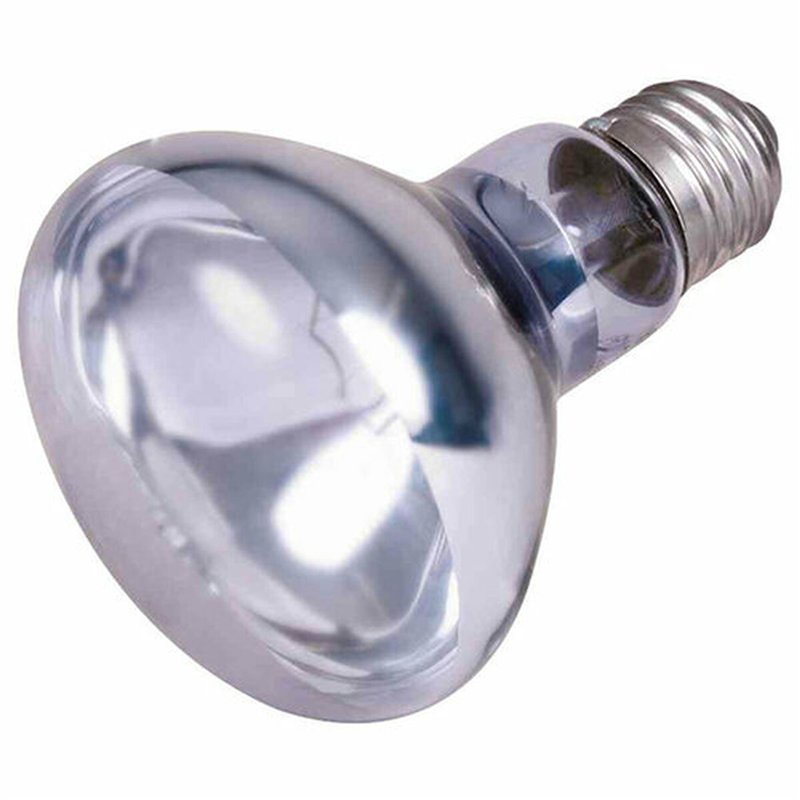 Image secondaire de Ampoule infrarouge Trixie