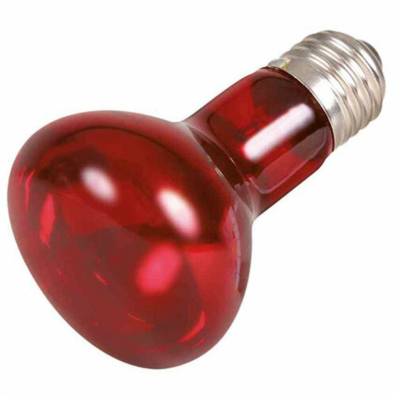 Image secondaire de Ampoule infrarouge Trixie