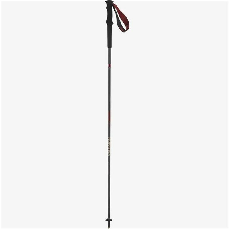 Image secondaire de Jeu de 2 bâtons de trekking Salomon Quest Carbon Foldable Noir 120 cm
