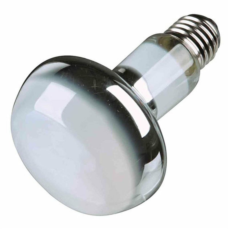 Image secondaire de Ampoule infrarouge Trixie