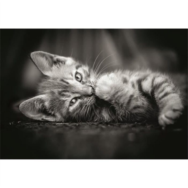 Image secondaire de CLEMENTONI - Compact 1000 pieces - Kitty