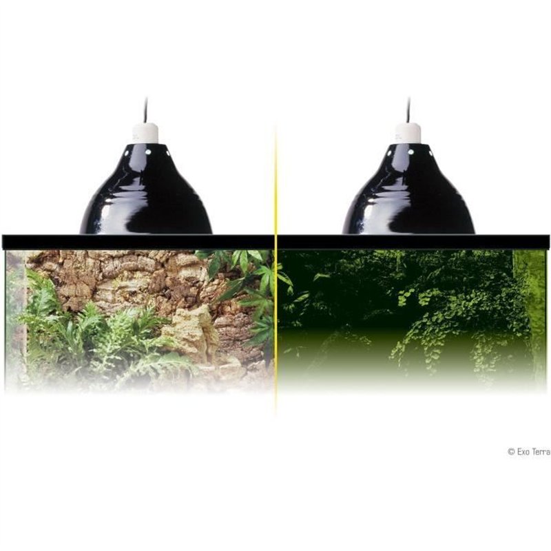 Lampe d'éclairage pour terrarium - EXO TERRA - Glow Light S - Pince avec douille porcelaine - Réflecteur lumineux - Jour/nuit - 