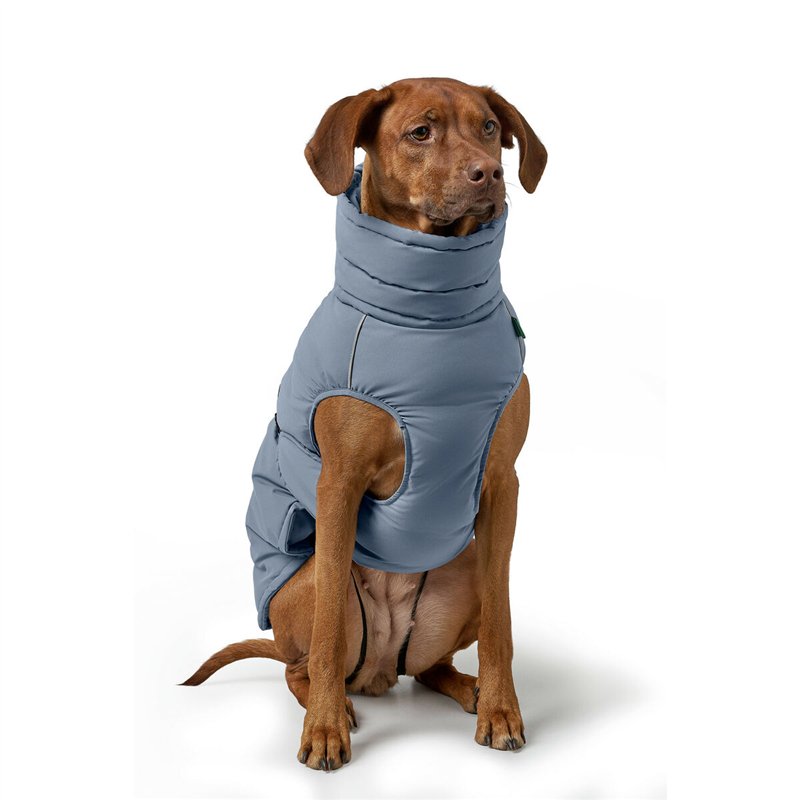 Image secondaire de Vêtements pour animaux de compagnie Hunter PAXSON Bleu Polyester