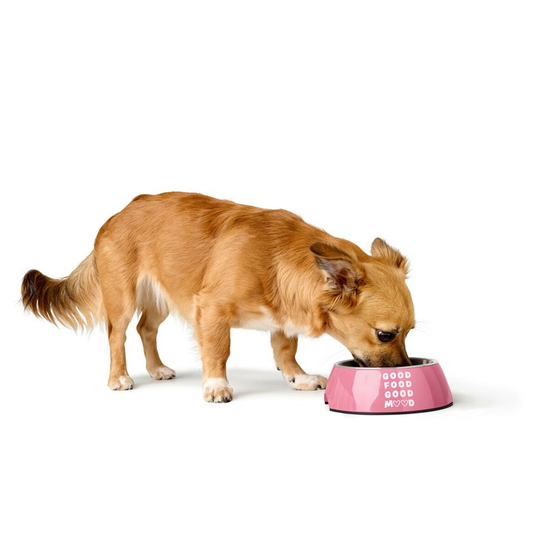 Image secondaire de Mangeoire pour chiens Hunter Chester Rose 160 ml