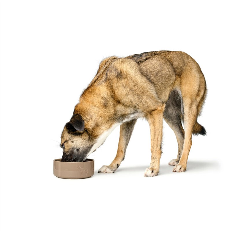 Image secondaire de Mangeoire pour chiens Hunter OSBY Beige Céramique 550 ml
