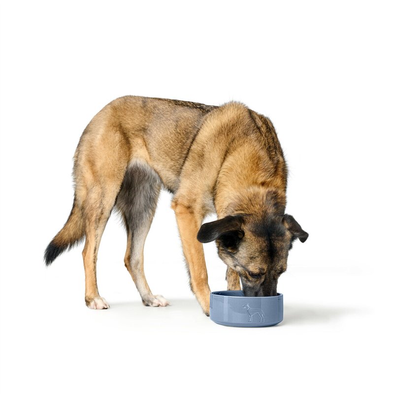 Image secondaire de Mangeoire pour chiens Hunter OSBY GLAZED Bleu Céramique 2,5 L