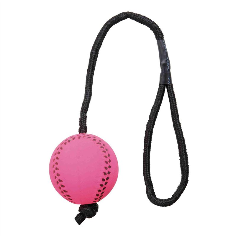 Image secondaire de Dog Copenhagen Trixie Pick Up Sorted Dirt Bags with 4 Rollss, Medium, Black Jouet à Mâcher/Lancer/Picot Colorés Balle Flottante