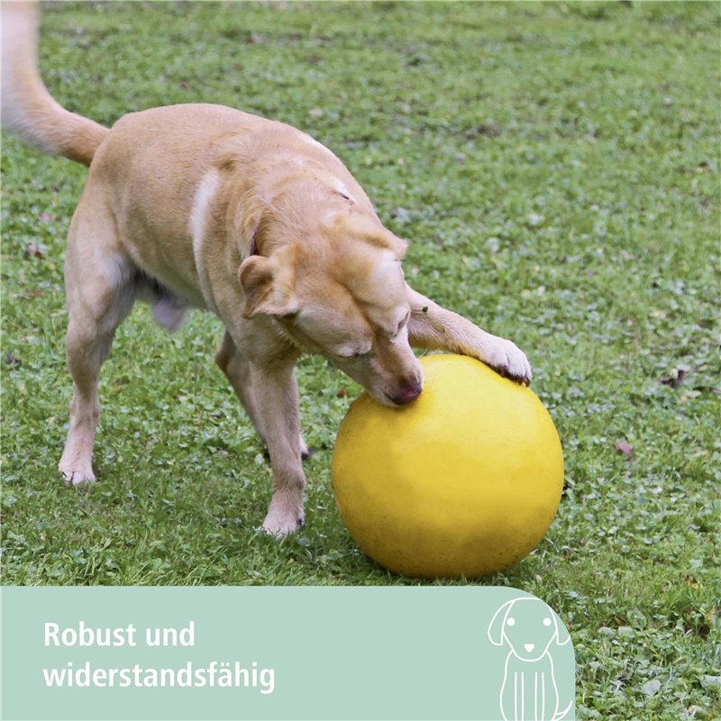 Image secondaire de Kerbl Pet Balle de Jeu pour Chien PP, Jaune, Ø30cm