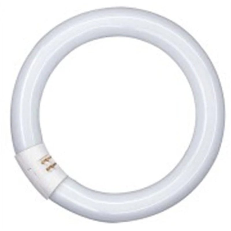 Osram AA408170155-circulaire Tube Fluorescent/l32 865-32w