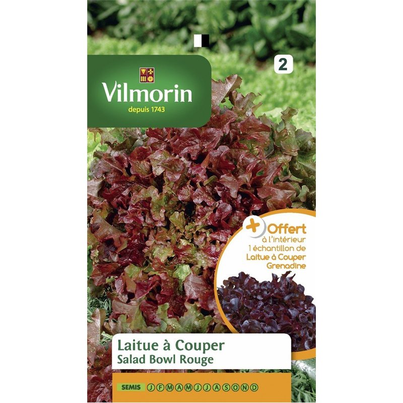 Image secondaire de Vilmorin 3609842 Pack de Graines Laitue à Couper Salade Bol Rouge + Echantillon Laitue à Couper Grenadine