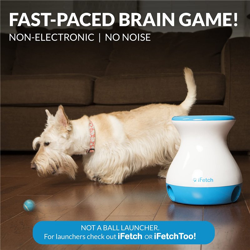 Image secondaire de iFetch Mini Jouet d’Excitation