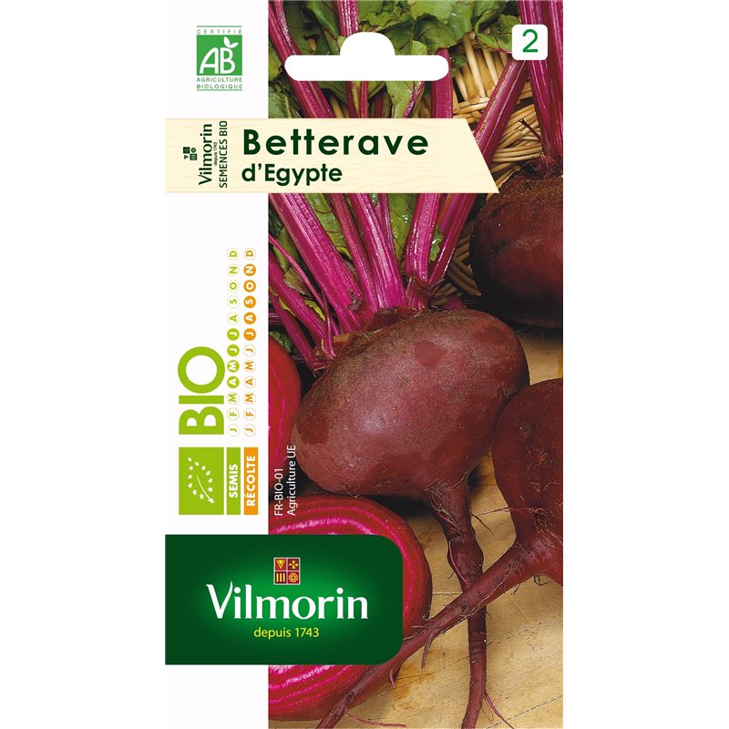 Vilmorin 3182670105289 3151342 Betterave Noire d Egypte Bio, Rouge, 9 x 0.5 x 16 cm