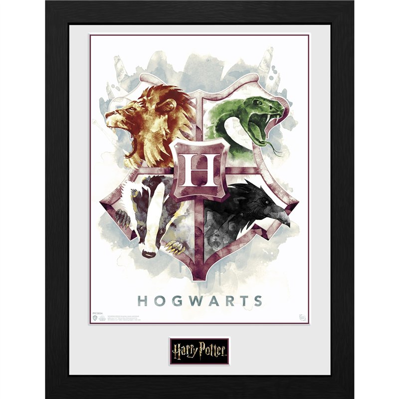 GB eye Harry potter - tirage encadré hogwarts aquarelle