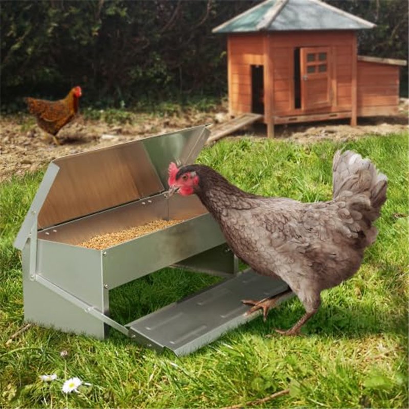 Image secondaire de IDMarket - Mangeoire XL pour Poules Distributeur Automatique à pédale en Acier 5 KG