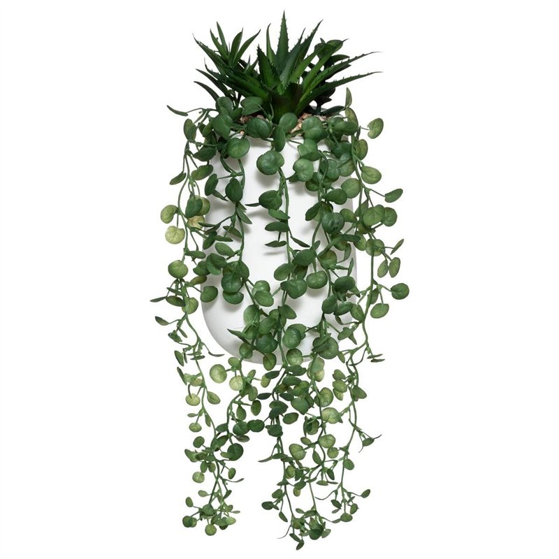 JJA Composition Plante GRASSE RETOMBANTE 33CM