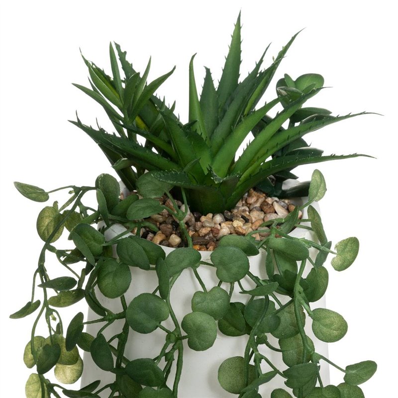 Image secondaire de JJA Composition Plante GRASSE RETOMBANTE 33CM