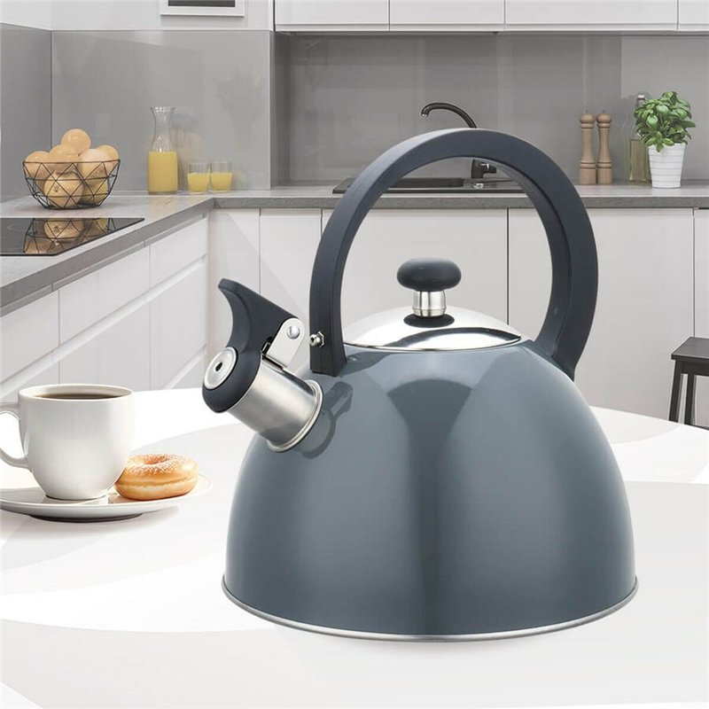 Image secondaire de Théière Feel Maestro MR-1302-GREY Noir Gris Acier inoxydable 2,5 L