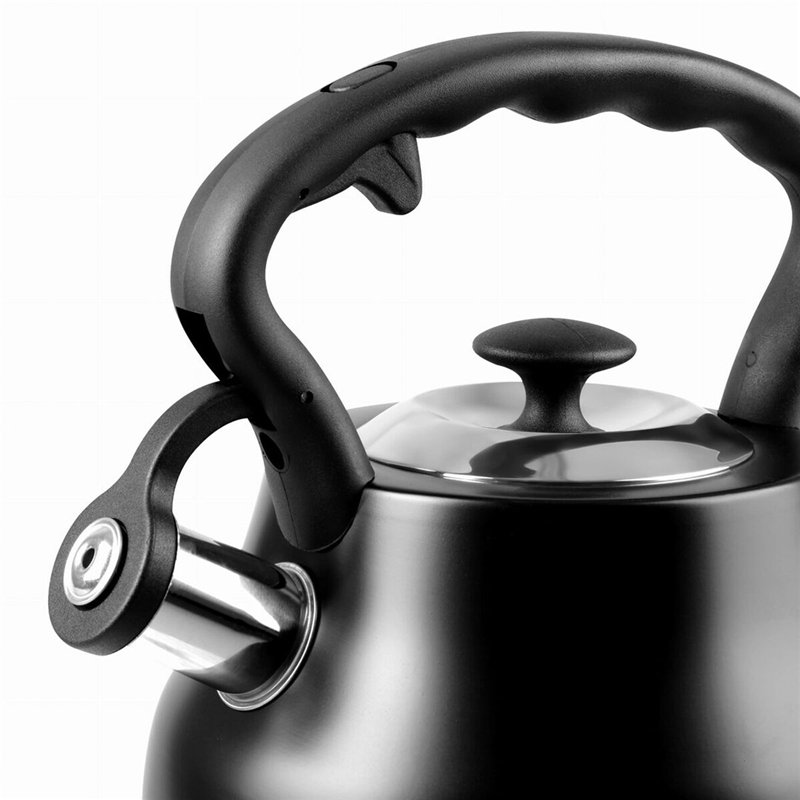 Image secondaire de Bouilloire Promis TMC21C Noir Acier inoxydable 3 L