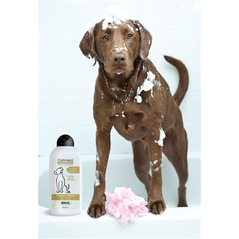 Image secondaire de WAHL - Oatmeal Shampooing pour Chien 750 ML