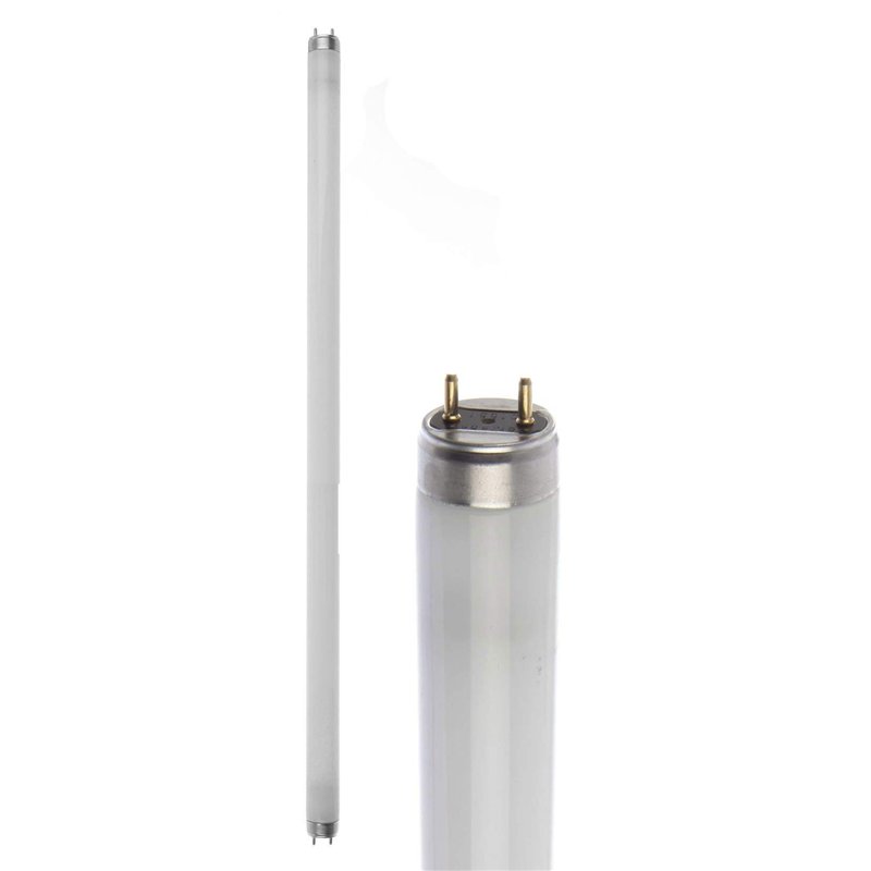 Osram Active DayWhite – Lampe (G13, Blanc, b)