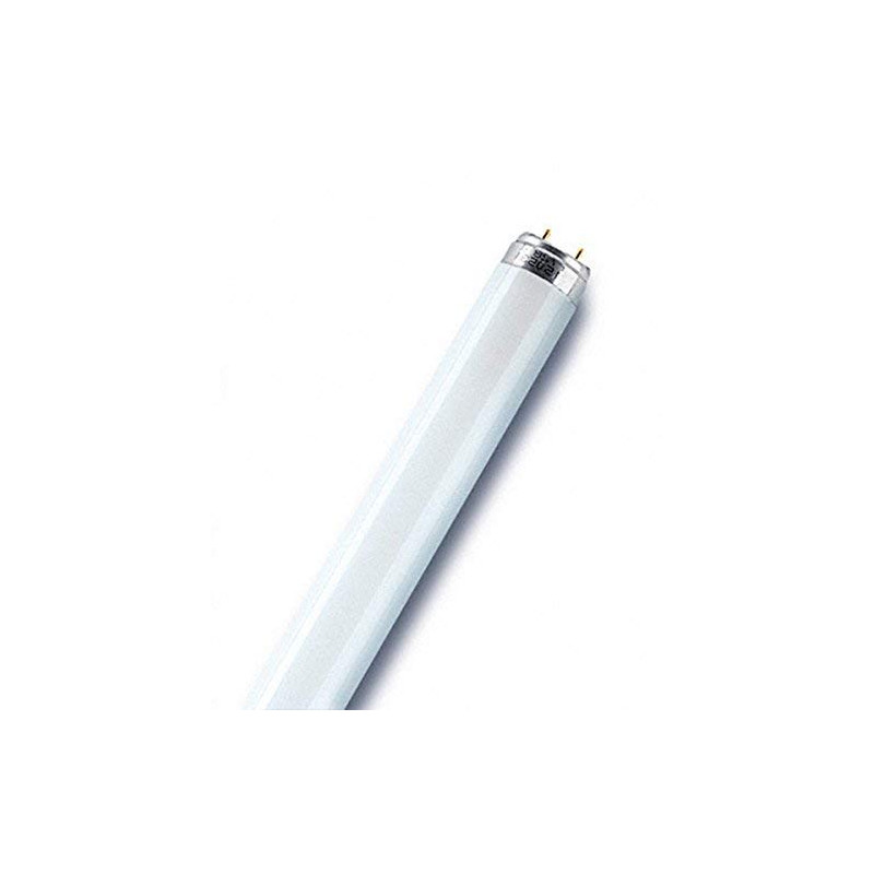 Image secondaire de Osram Active DayWhite – Lampe (G13, Blanc, b)