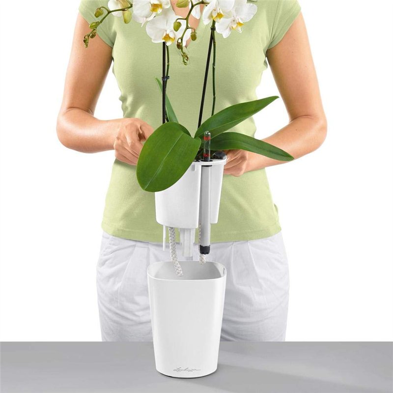 Image secondaire de Lechuza Pot Deltini Premium Kit Complet Brillant Blanc