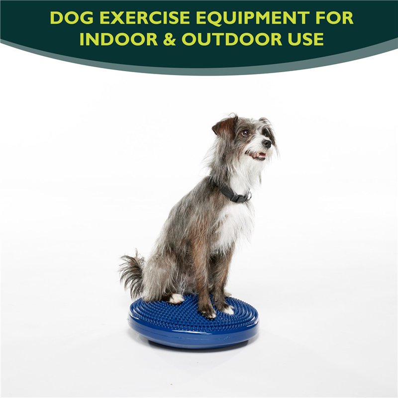 Image secondaire de Ball Dynamics Int. LLC FitPAWS Disque d'Equilibre / Pack de Base pour Chien Bleu 36 cm