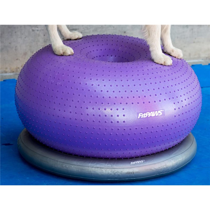 Image secondaire de Ball Dynamics Int. LLC FitPAWS Anneau Gonflable Forme Donut pour Chien