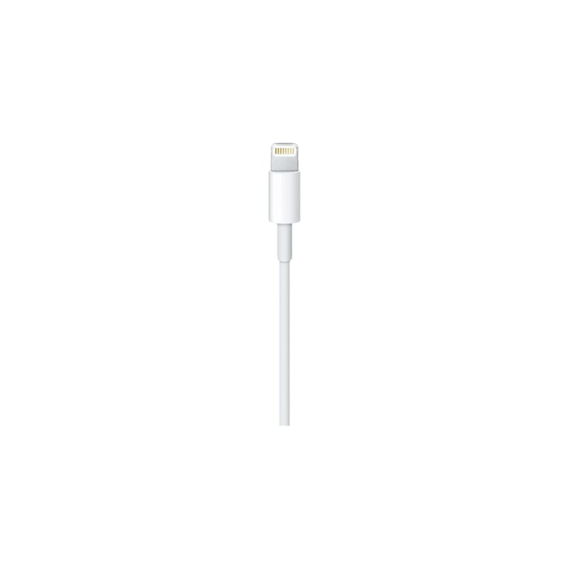 Apple Câble Lightning vers USB (0,5 m)