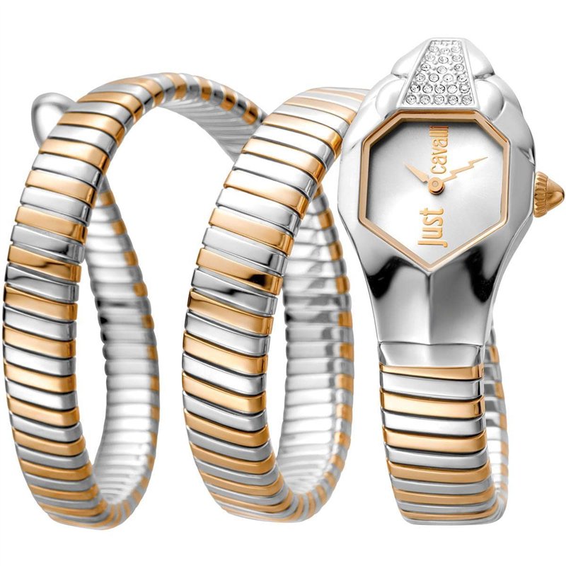JUST CAVALLI Montre pour femme JC1L022M0075 Colourful STD, Coloré, STD