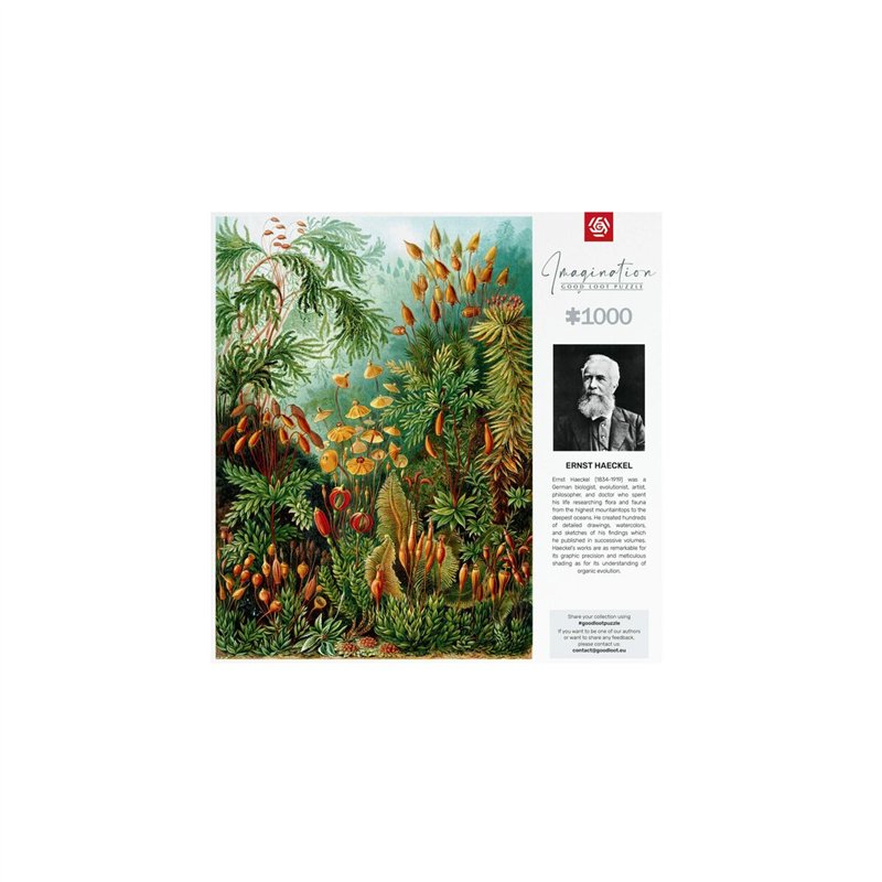 Image secondaire de Puzzle Cenega Publishing Imagination: Ernst Haeckel Muscinae 1000 Pièces