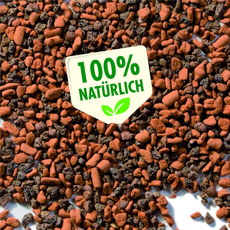 Image secondaire de Seramis granulés pour cactus et plantes grasses, 2,5 L – Billes d’argile, substitut de terreau pour cactus stockant eau et nutri