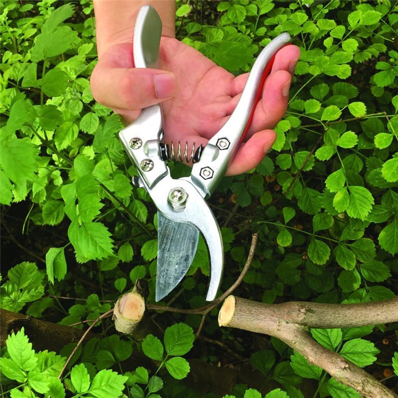 Image secondaire de Sécateur,GWCLEO Jardin Sécateur avec Lame en Acier à Carbone élevé,Sécateur avec Verrouillage de Sécurité,Ciseaux de Jardin avec