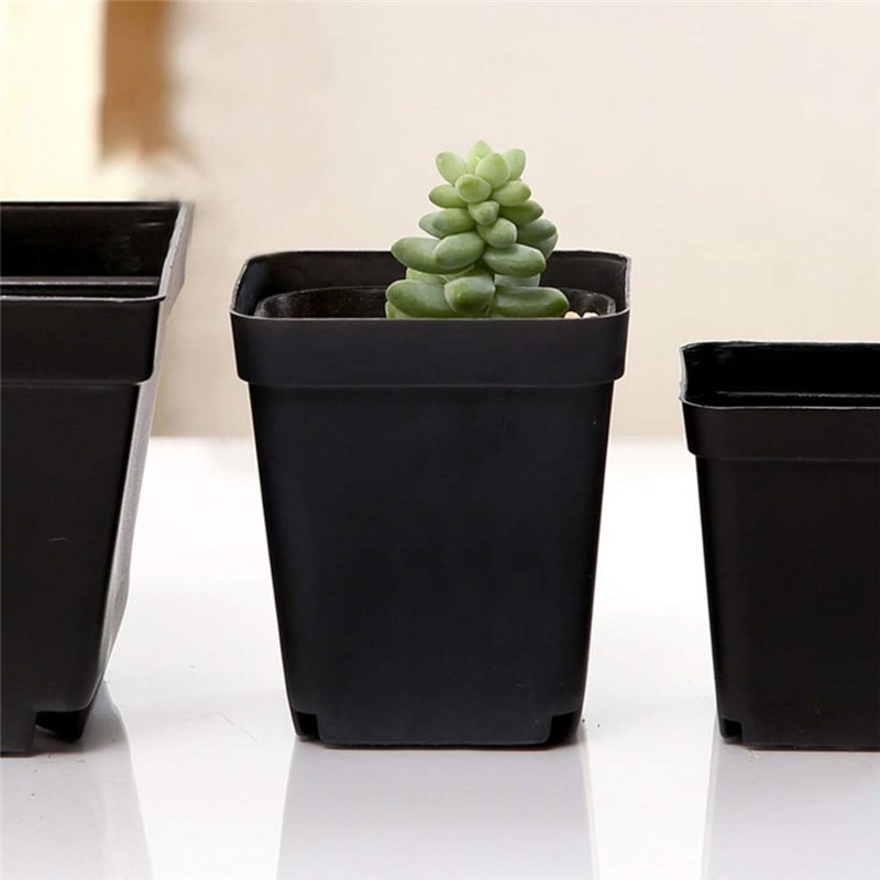 Image secondaire de 50 PCS carrés de Plants Pots de Plantes succulentes en Plastique Panier de Plantes de Fleurs pour Jardin 6x6x6.5cm (Noir)