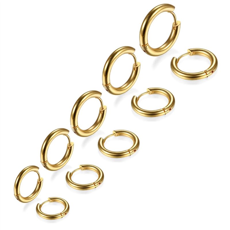 LIUJZZJ 5 Paires Boucles d'Oreilles Créoles en Acier Inoxydable Boucles d'Oreilles Cercles Cartilage Anneaux de Nez Lèvres 8/10/
