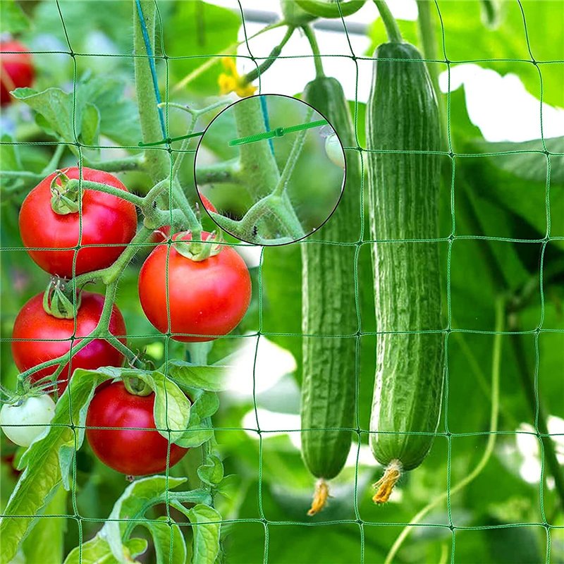 Image secondaire de Secwell Filet de Jardin 5 x 1,8 m Filet de Maille en Nylon pour Plantes grimpantes, Filet d'escalade de qualité supérieure, File
