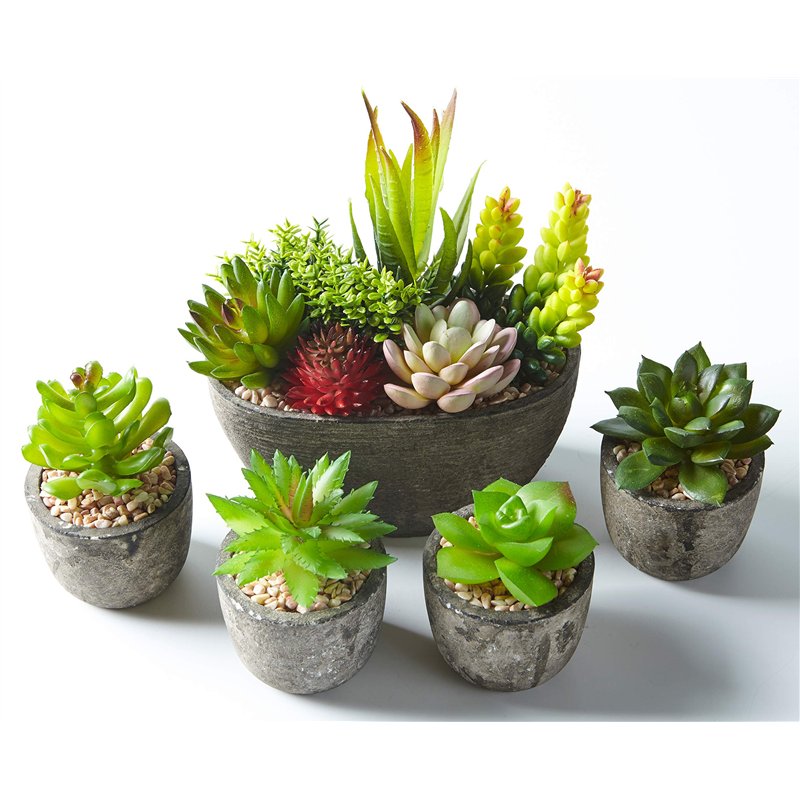 Jobary Ensemble de 5 Pots artificiels Succulents
