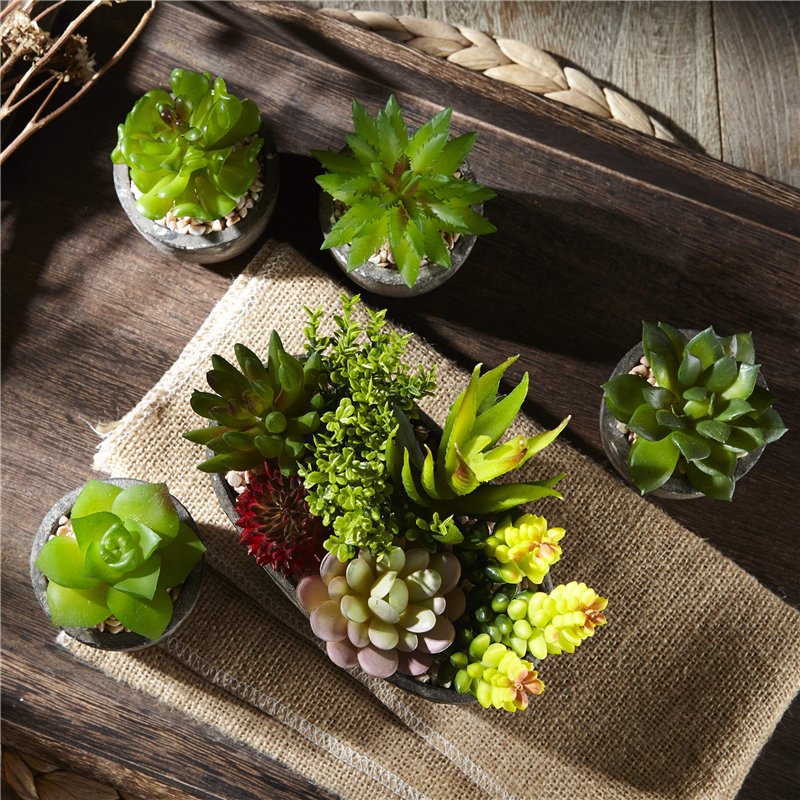 Image secondaire de Jobary Ensemble de 5 Pots artificiels Succulents