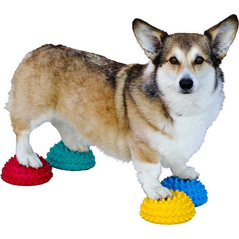 DOG Copenhagen FitPAWS Paw Pods avec Antidérapant pour Chien