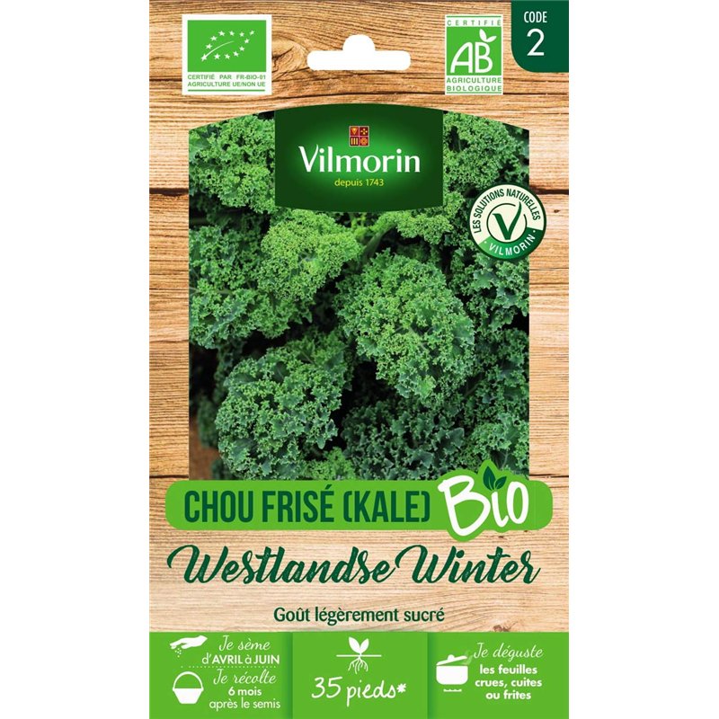 VILMORIN - Chou frisé West Winter Bio - pour Les récoltes d'hiver Jusqu'au Printemps - Semences Issues d'une Culture Conforme au