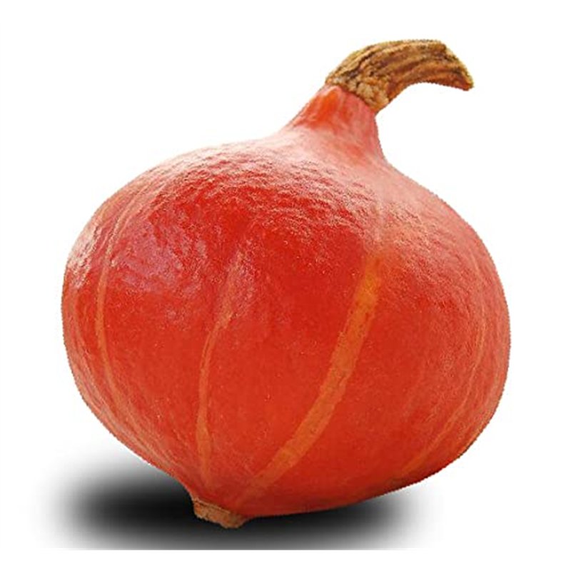 Image secondaire de 12 graines Bio à semer - Le Grenier d'Abondance - COURGE POTIMARRON - Certifié AB - Cucurbita maxima