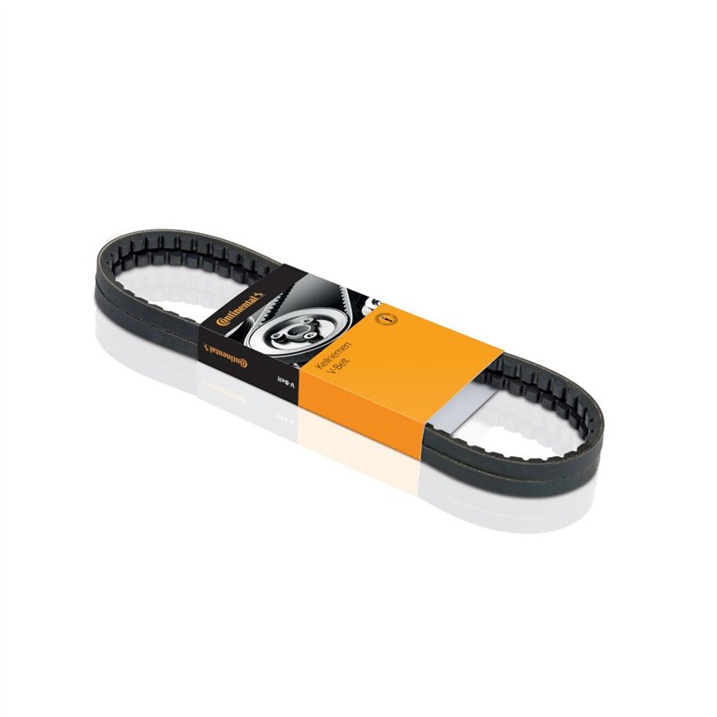 Continental Contitech AVX13X925 Courroie trapézoïdale