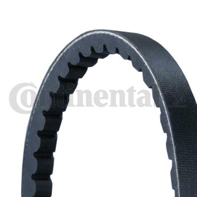 Image secondaire de Continental Contitech AVX13X925 Courroie trapézoïdale