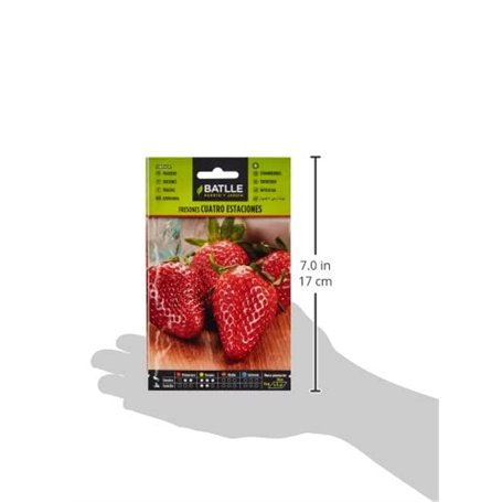JOKARI J40065 - Pelacables de microprecisión SWS-Plus (0,30 mm)