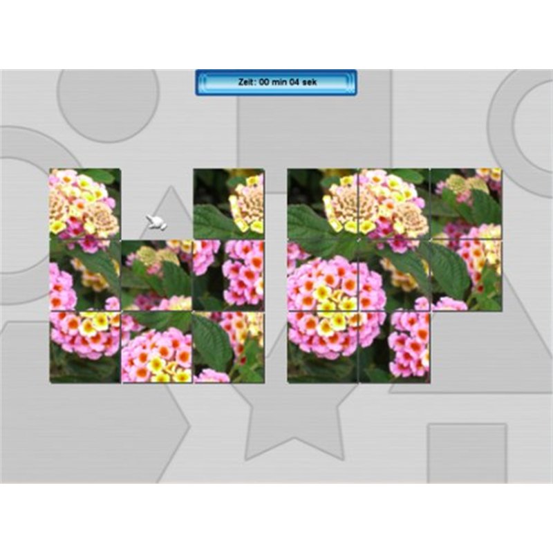 Image secondaire de Dr. Tool GehirnSport