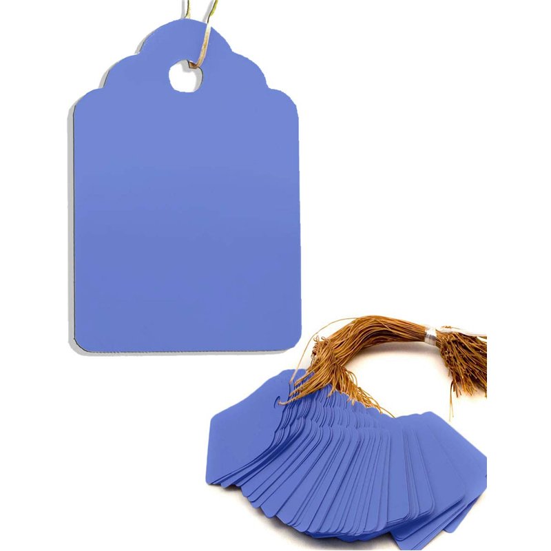 HomeTools.eu® - Lot de 100 pendentifs pour plantes avec ficelle, pour étiqueter les plantes, arbustes, résistant aux intempéries