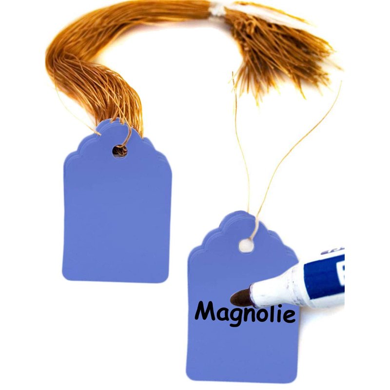 Image secondaire de HomeTools.eu® - Lot de 100 pendentifs pour plantes avec ficelle, pour étiqueter les plantes, arbustes, résistant aux intempéries