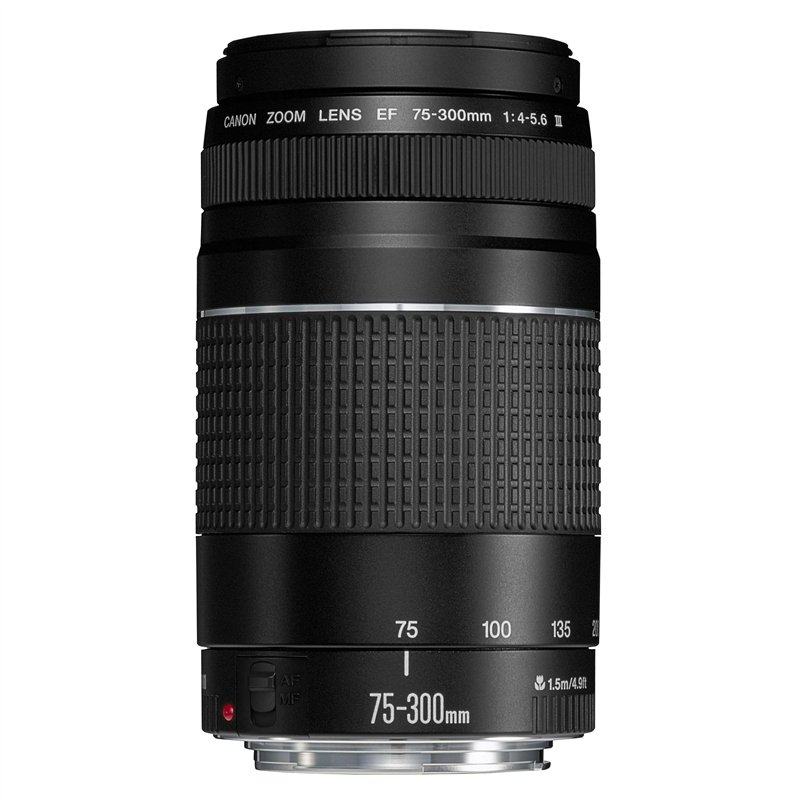 Image secondaire de Canon EF 75-300mm f/4.0-5.6 III Objectif [Ancien Modèle]