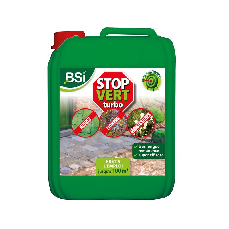 BSI - Puissant Destructeur - De Dépots Verts - Élimine Algues Lichens Moisissures - Efficace Sur Toutes Surfaces Dures - Prêt A 