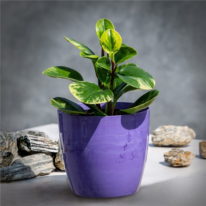 Image secondaire de KADAX Pot de Fleurs en Plastique avec Finition Brillante et Motifs Marbrés, Cache-Pot pour Une Décoration Intérieure Raffinée et